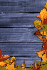 Naklejka premium Autumn leaves and twigs are forming border on weathered blue wood planks, flat design, copy space