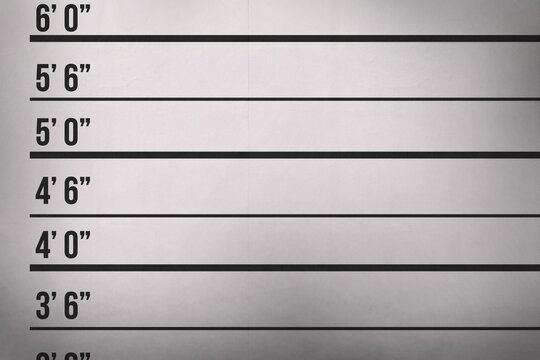 Height measurement chart is being displayed in flat design, with bold black lines and labels