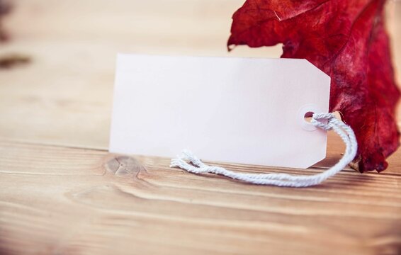Fototapeta Price tag with maple leaf