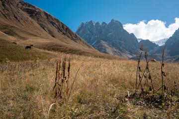 Juta trail towards Chaukhi Mountain in Georgia