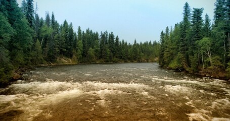 Flat design rushing river rapids are flowing through evergreen forest valley, with pale hazy sky