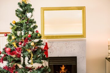 Christmas tree in living room