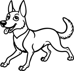 black and white dog