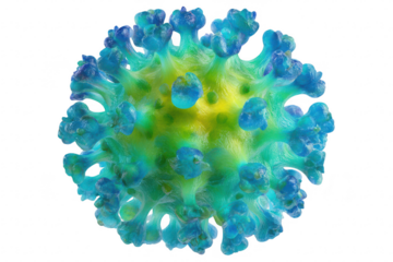 Virus Structure, Microscopy, 3D View