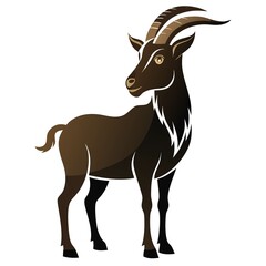 goat isolated on white background