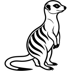 vector illustration of a meerkat