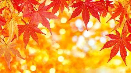 Autumn scene of glowing crimson maple leaves scattered over a pond glowing with golden reflections