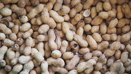 Freshly harvested peanuts on display in a market