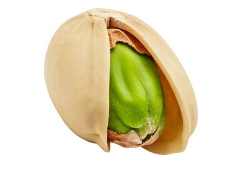 Single roasted pistachio nut close up macro shot