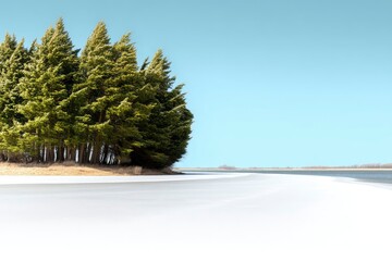 Thin Line of Evergreen Trees on a Frozen Lake Under a Blue Sky