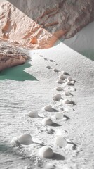 Tiny Trail Footprints Through a Snowfield