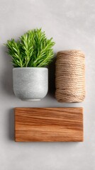 Top View Eco-Friendly Product Setup with Flax Rope and Plant