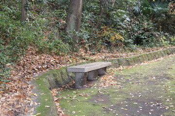 A quiet forest clearing with wooden benches surrounded by bare trees and autumn foliage. The fallen leaves and soft light evoke a peaceful, nostalgic atmosphere.
