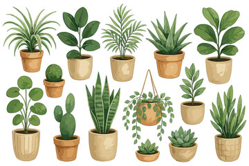 Collection of house plants in pots a variety of green indoor plants in terracotta containers