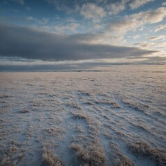 Write about a vast tundra stretching into the horizon under a pale winter sky