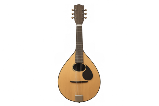 Portuguese guitarra showing its sound hole and strings on transparent background