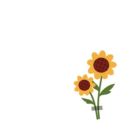 sunflower isolated on white polaroid