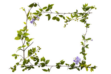 leaf, branch and little purple flowers arrangement flat lay square postcard style