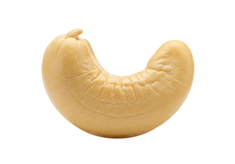 Single raw cashew nut isolated on transparent background