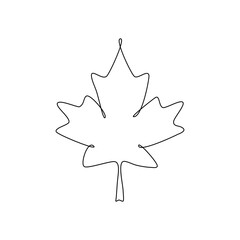 Maple leaf icon on transparent background.