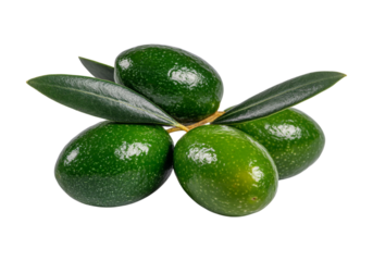 Fresh green olives on branch isolated on black background, On Transparent Background, Png Image
