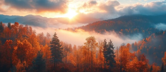 Naklejka premium Autumn Forest Landscape in Mountains with Sunrise