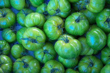Paris, France - May 18, 2025: Colorful fresh tomatoes sold at Marche or open-air market in Paris