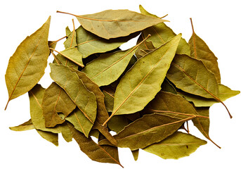 Dried bay leaves pile close up transparent  background