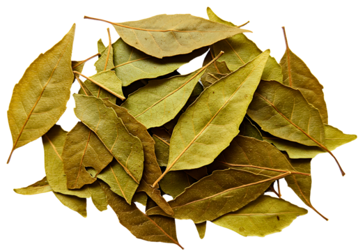 Dried bay leaves pile close up transparent  background