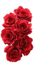 Glistening Red Roses Close Up on White Background