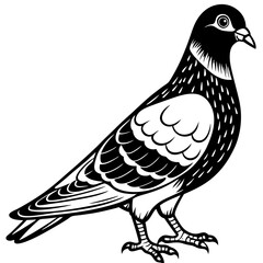 Pigeon line art on white background.




