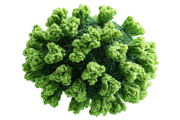 Virus Structure, 3D Model, Scientific