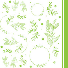 Set of olive oil monogram, floral branch and frames. Hand drawn wedding logo herb, with elegant leaves.
