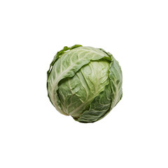 Fototapeta premium Fresh Green Cabbage Vegetable Isolated on transparent background Studio Shot