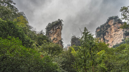 Picturesque mountains against the sky and clouds. Sheer cliffs  pillars, green vegetation on the peaks. Thickets of trees in the foreground. China. Wulingyuan National Park.