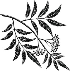 Green cannabis leaf vector silhouette for marijuana plant illustrations