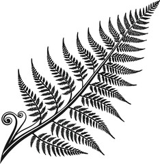 Here's a concise description:

Isolated fern leaves on a black background, showcasing the intricate natural pattern of forest foliage