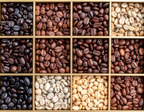 Assortment of Roasted Coffee Beans Shades of Brown and Flavor Profiles