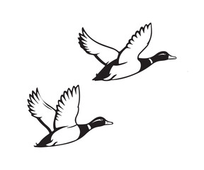Obraz premium flying duck vector illustration, silhouette of flying duck graphic art