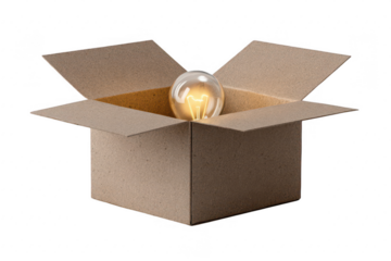 Idea Inside Cardboard Box (1)