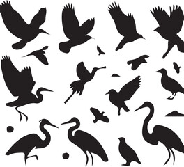 Fototapeta premium A collection of black bird silhouettes in various flying and standing positions against a white background