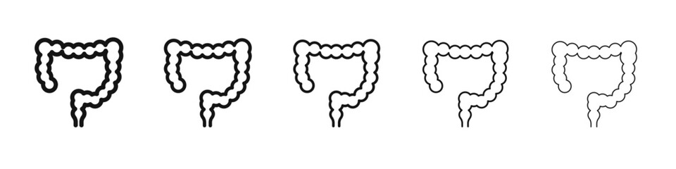Large intestine icon vector outline set illustration sign