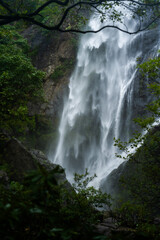 A majestic waterfall plunges down rugged cliffs into a misty forest, framed by lush green foliage. The water flows with power and grace, creating a dramatic and tranquil nature scene.