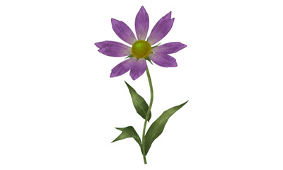 violet flower isolated on white background