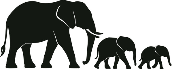 silhouette elephant family © Saruf