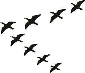 silhouette flock of birds in V-formation
