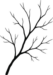 Obraz premium silhouette tree