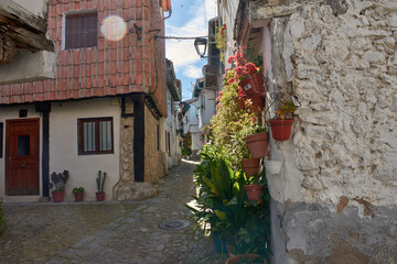 Cobbled alley in the Jewish quarter of Hervas, Extremadura, with whitewashed houses and flower pots...