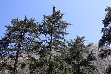 Mountains