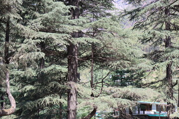 Mountains